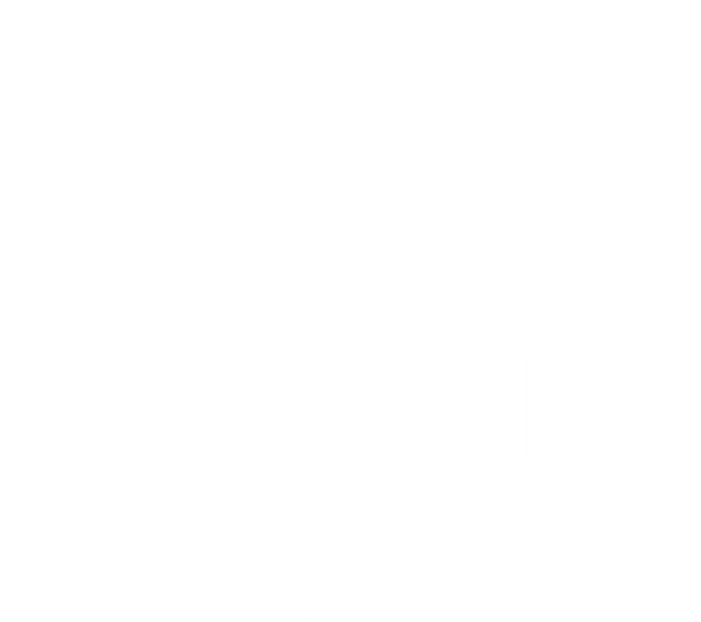 BERRIES Healthy Desserts